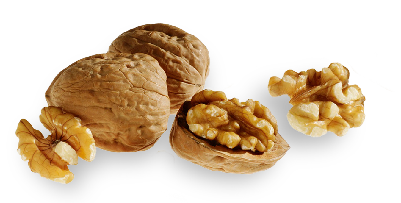 California Walnut 2022 (Final) Scan Win UAE